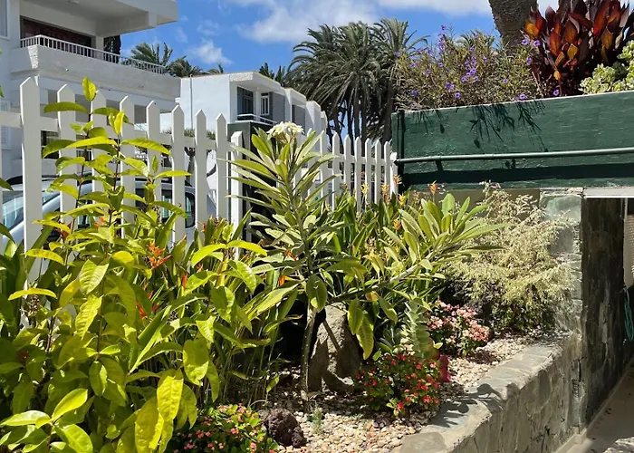 Oasis Playa * Maspalomas (Gran Canaria)