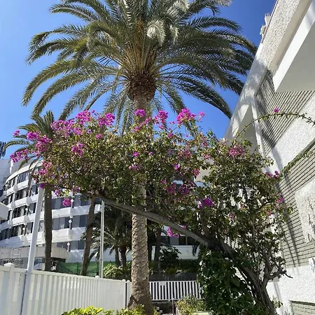 Oasis Playa Maspalomas * Maspalomas (Gran Canaria)