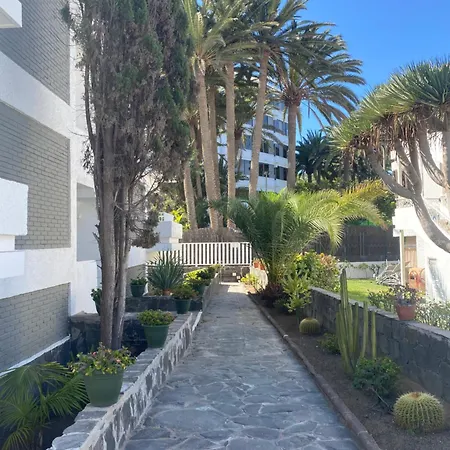 Apartamento Oasis Playa Maspalomas *