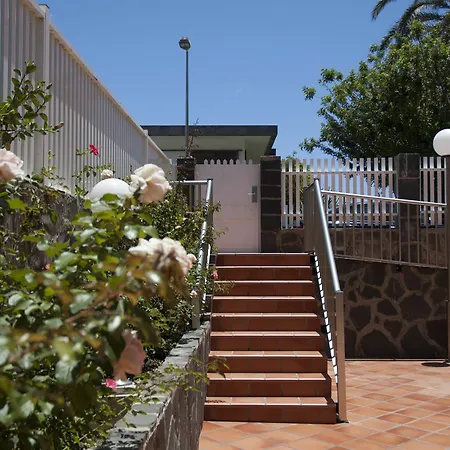 Oasis Playa Maspalomas *