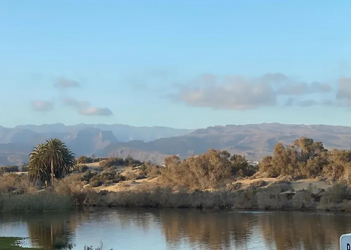 Oasis Playa דירה