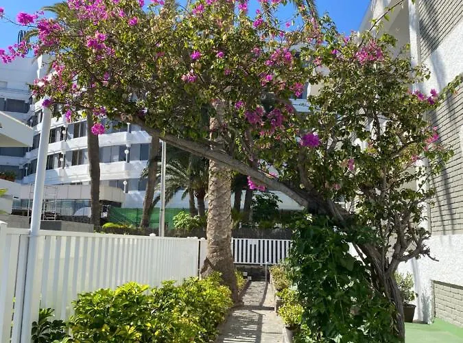 דירה Oasis Playa *