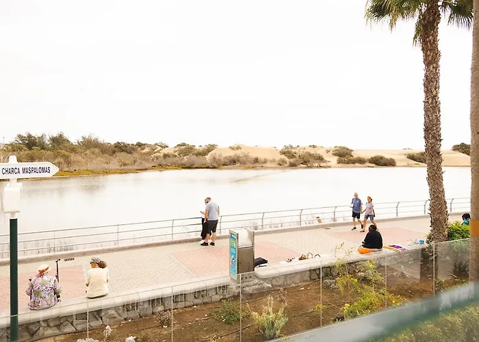 Oasis Playa *