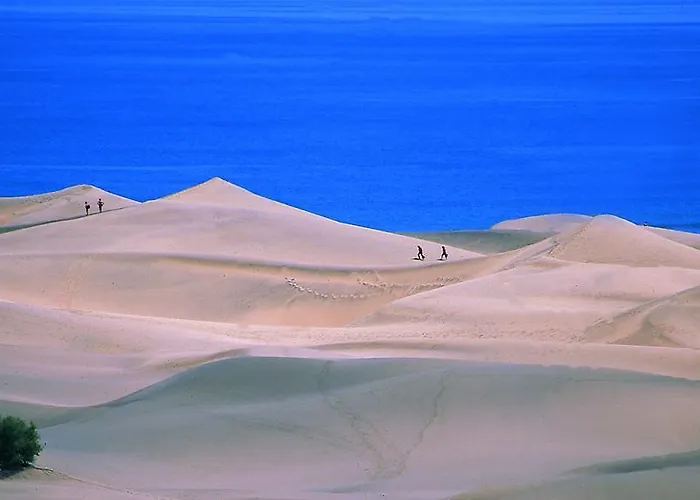 Oasis Playa מספאלומס