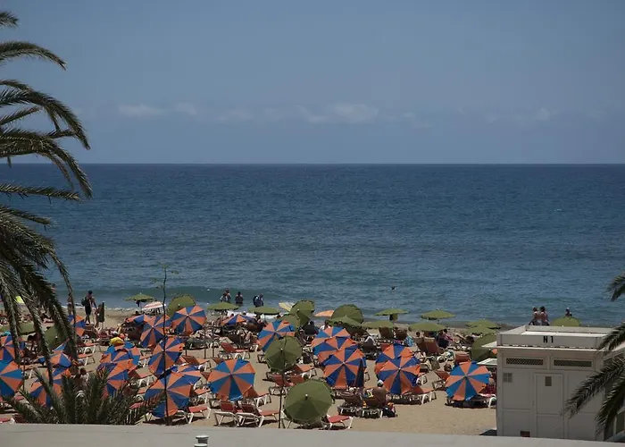 Oasis Playa דירה