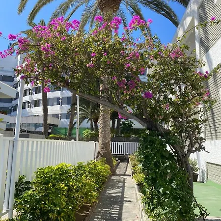 Διαμέρισμα Oasis Playa *